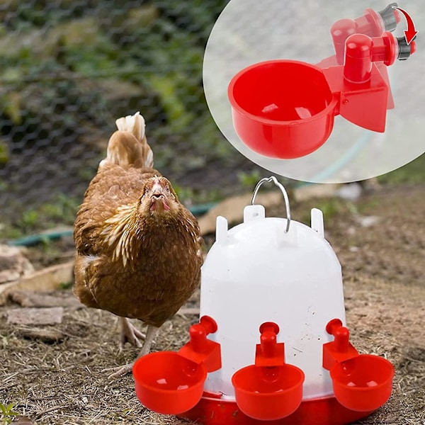 6 st Kyckling Vattenautomat Höna Nippel med Skruv Fjäderfä Automatiska Matare Fjäderfä Vattenautomat Plast Drickskål för Kycklingar Ankor Fåglar