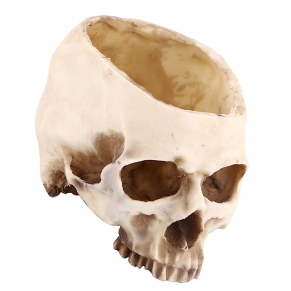 1 kpl Resin Skull Head Design kukkaruukkuistutusastian koristelu