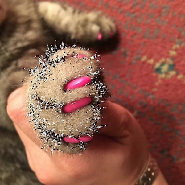 40 st Mjuka Katthund Nagel Skydd Pet Paw Claw Protector Nagelöverdrag med Gratis Lim Applikator XL