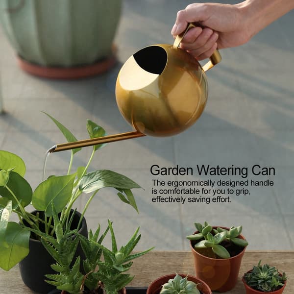1000 ml vandkande i rustfrit stål med lang tud til haveblomster og planter, guld