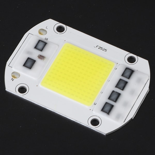 100W 220V Kallvit Hög Effekt LED Chip Högspänning COB Ljuskälla för Inomhus- och Utomhusbruk