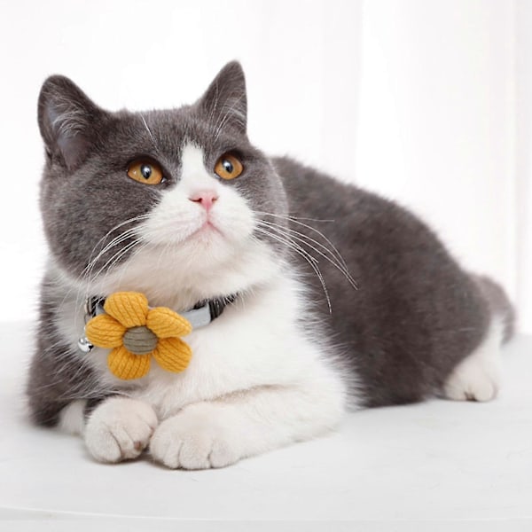 Justerbart 3D Katt Halsband Med Blommor Och Bjällror, Söta Husdjurstillbehör I Rosa/Grå/Gul Zekai grå