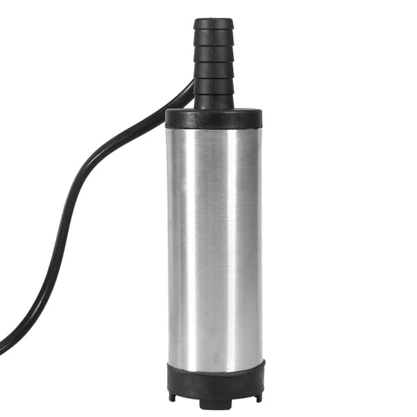 38 mm elektrisk vattenpump i rostfritt stål DC oljeöverföringspump för jordbruksutrustning 12V