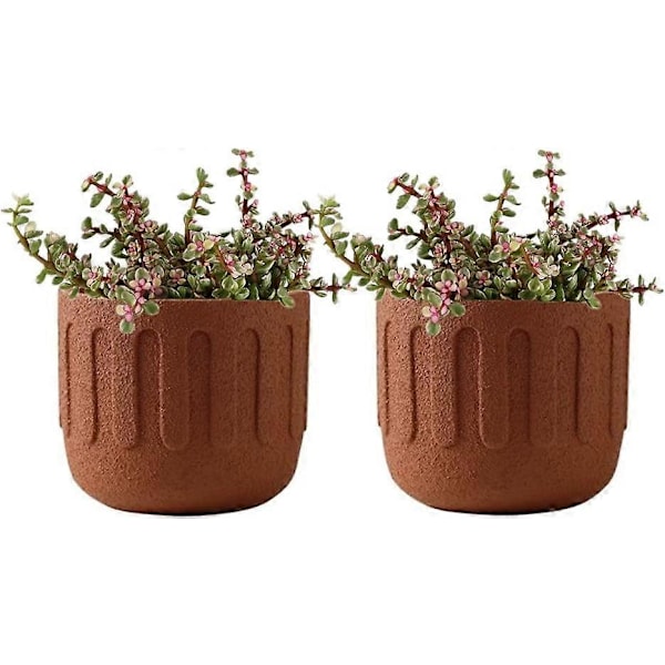 Passende keramisk blomsterpotte - For innendørs bruk - Matt tekstur - For sukkulenter - Liten blomsterpotte