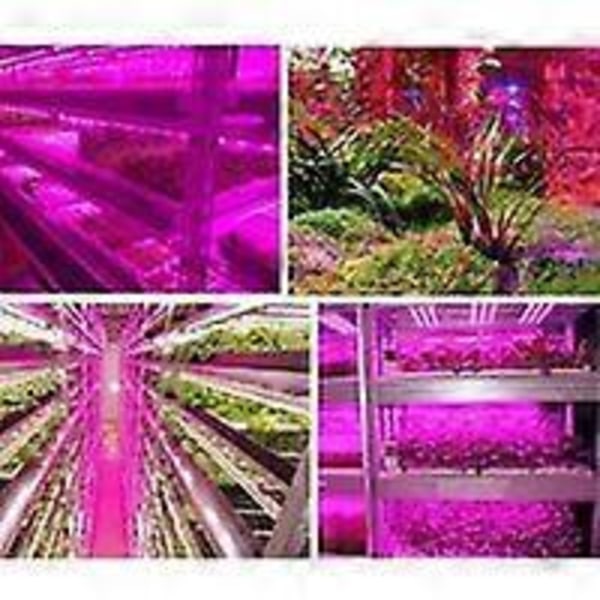 LED plantelyssystemlys, intelligent vanntett grønnsakslys 2 meter LED