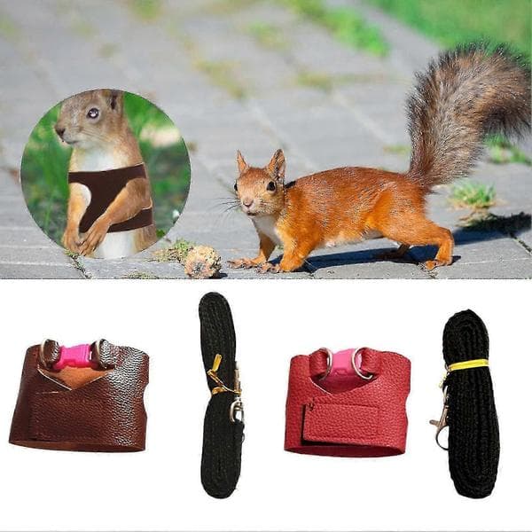 Squirrel Leash Escape-Proof Easy-Control Accessory Squirrel Training Tool Leash Split Vest For Outdoor Coffee Coffee L