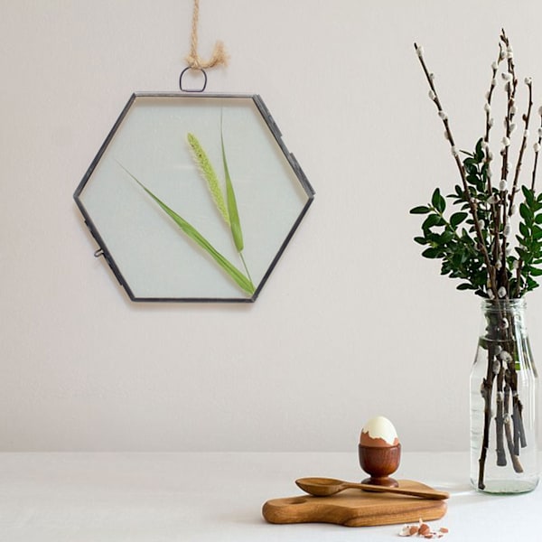 Hengende geometrisk sekskantet glassram tørket blomst planteprøve klippdisplay