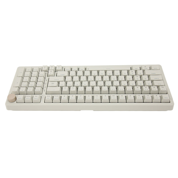 Mekanisk tastatur N Key Rollover Hot Swappable 20 lyseffekter Rød bryter USB kablet tastatur