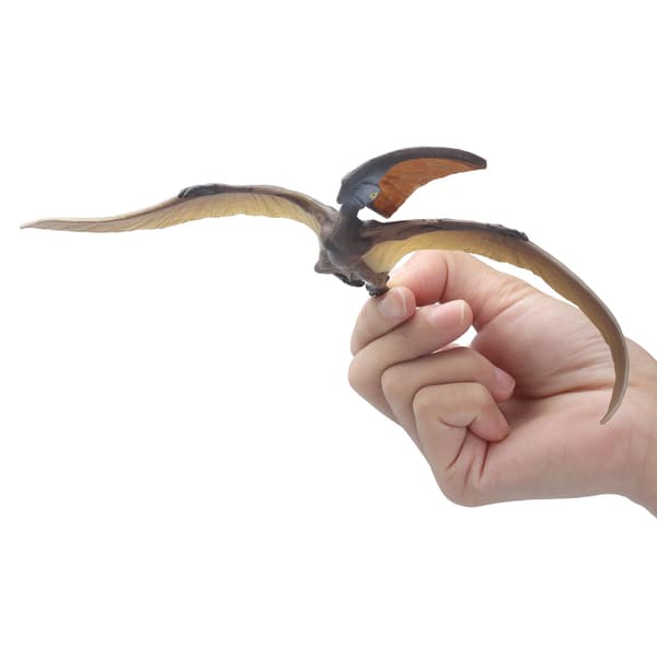 Jurassic Dinosaurmodell Leketøy Simulering Pterosaur Samling Modell Pedagogisk Leketøy for Barn Simulering Pterosaur Modell