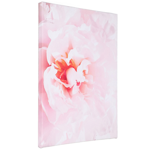 Blomsterkonstbilder Fashionable Ambience Ljus färg blekningsbeständighet Väggdekor Konst för hemmakontor Bar kök Café Typ A