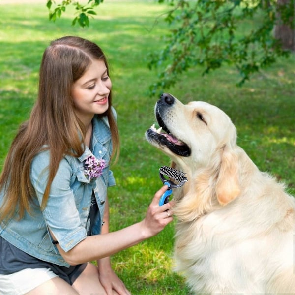 Hundebørste, Hund Underullskam, Langhåret Hundebørste, Kjæledyr Kam Børste Hundehårbørste, Profesjonell Ideell