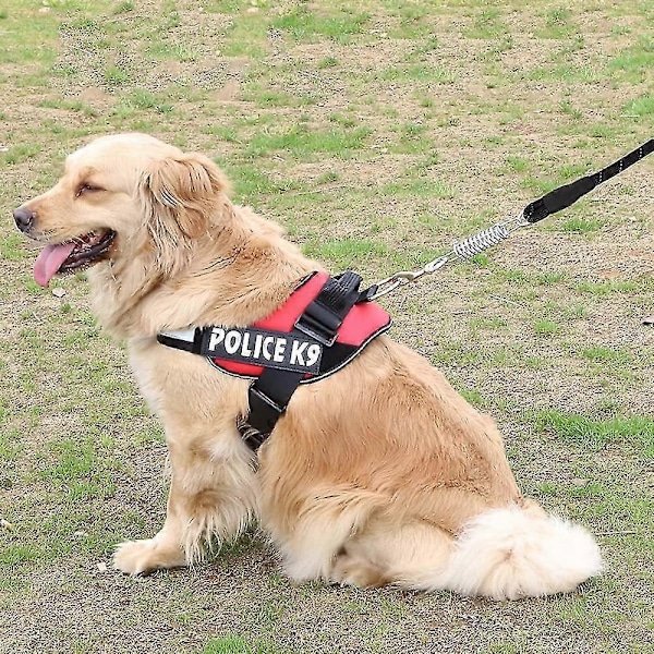 Tältfjäderspänne 8 Stycken Fjäderspännare Rostfritt Stål Höghållfast Fjäderspänne Tältrep_SZXM