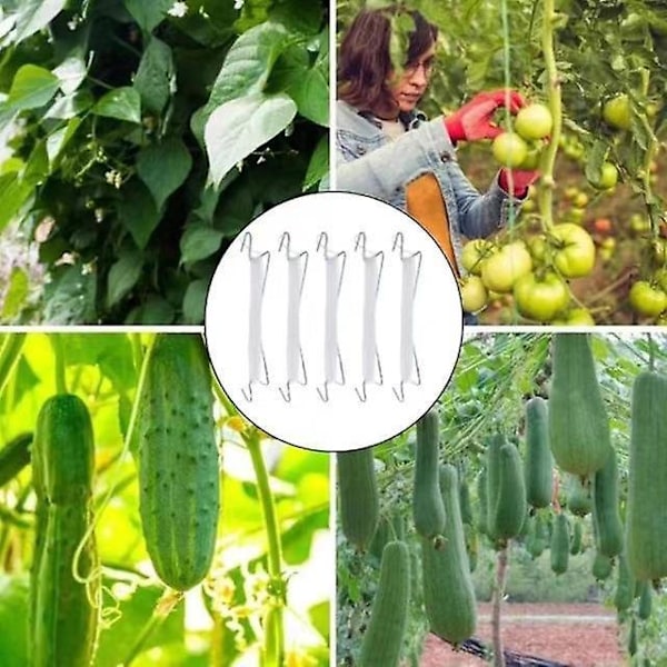 Tomatkrokar, 10 Stycken Trädgård Tomatkrok, Metall Tomatrepskrokar med Växtögla och Rep, Tomatkrokar Lämpliga för Växter Grönsaker Frukt