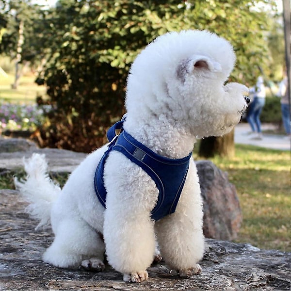 Liten Medium Stor Hund Varningssele Reflex Vadderad Väst och Främre Nylonkoppel Justerbar Bröstrem Säkerhet-Marinblå/XS