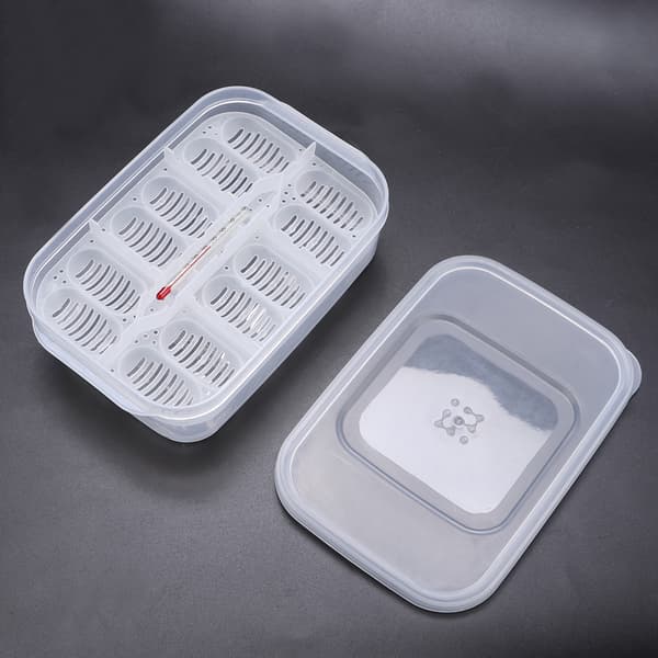 Transparent Plast Professionell Gecko Ormar Ödlor Reptiler Ägg Häckande Inkubator Bricka Kläckningslåda