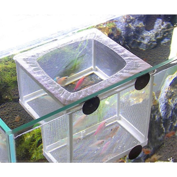 Fiskeisolasjonsboks for akvarium, Stor klekkerinett, Fiskeinkubator akvarium, Fiskeoppdrettsboks med sugekopper 26 x 15 x 15,5 cm