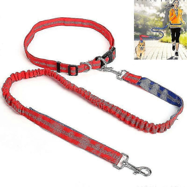 Hundesnor Elastisk Nylon Kæledyr Løbesnor Gå Hundesnor Kæledyrssnore