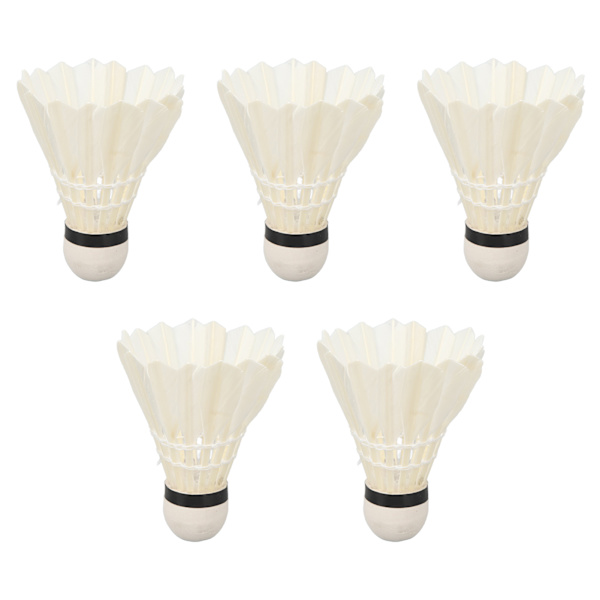 5 st LED Badmintonbollar Mörker Natt Glöd Birdies Belysning Brytare Kontroll Elastisk Gåsfjäder Belysning Bollar