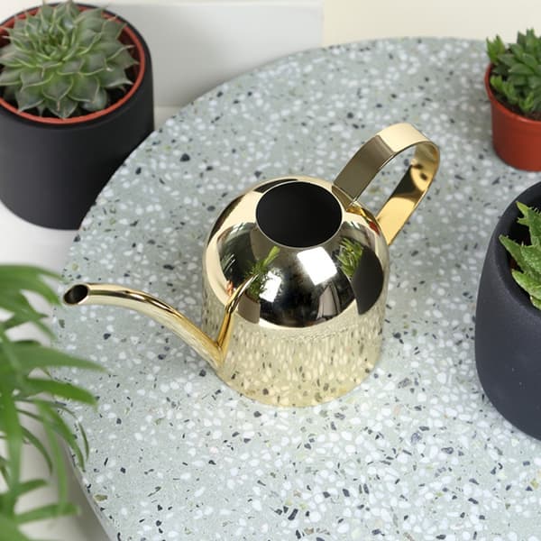 500 ml vandkande i rustfrit stål med lang tud til udendørs og indendørs stueplanter, guld