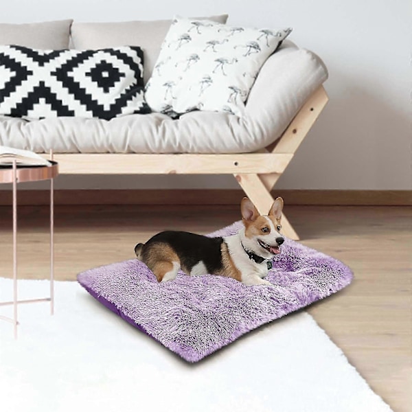 Mukava Kennel Koirien Lemmikkipeti Syvä Uni Pv Petaus Nukkumapaikka Violetti