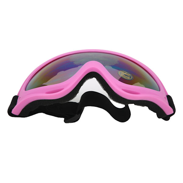 Børn Ski Snebriller Drenge Piger Øjenbriller Antidug dobbeltlags linse Unisex skiudstyr