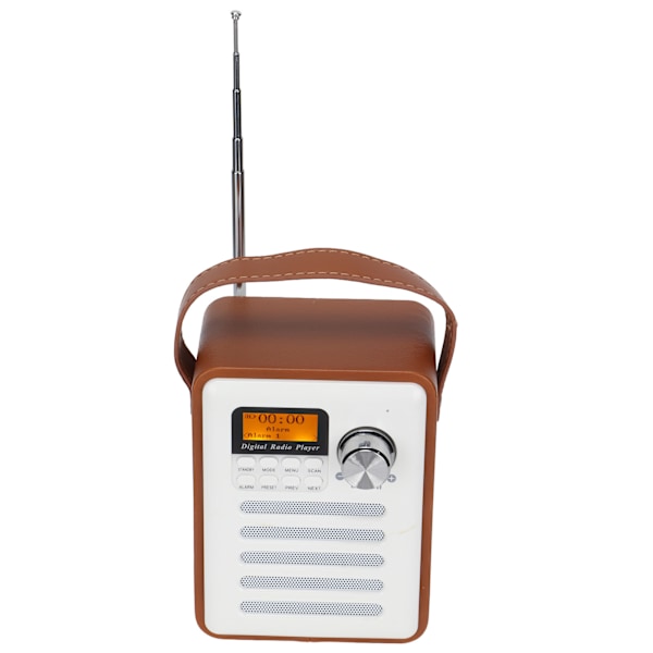 Mini trådlös Bluetooth-högtalare bärbar DAB Bluetooth-högtalare för att spela MP3-musik FM-radio