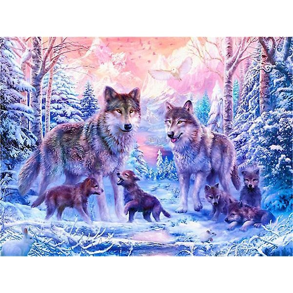 Fantasy 5D diamantmaleriet, 30x40 cm, velegnet til voksne og børn, diamantrhinsten krystal korssting vægdekoration