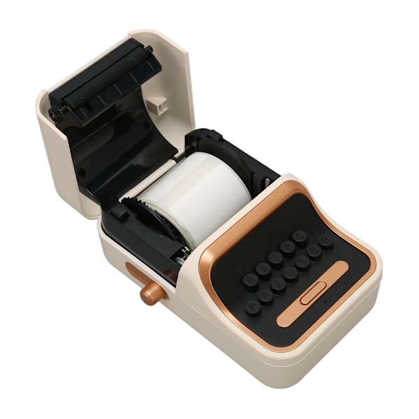 WP9520 Etikettmaskin utan bläck Bluetooth Auto Recognize Termisk Etikettmaskin med 40x30mm Vitt Etikettpapper för IOS för Android