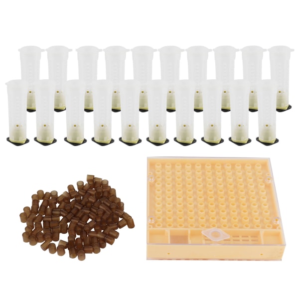 Queen Bee Rearing Box Cage Plast Breeding Cell Cup Kit Biodlingsutrustning Tillbehör