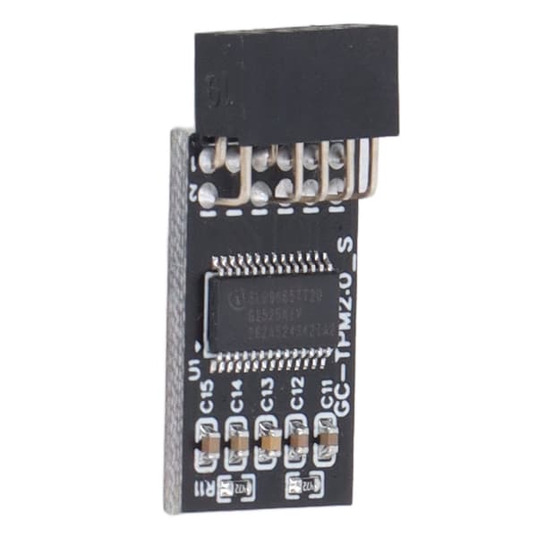 TPM 2.0-modul LPC SPI 12-pinners fjernkort krypteringssikkerhetskorttilbehør for GIGABYTE
