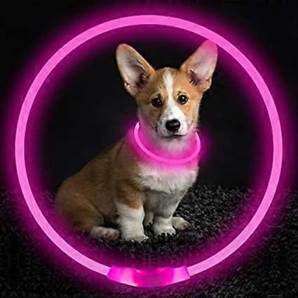 pinkLed Koiranpanta, USB Ladattava Välkkyvä Koiran Kaulavalo, Lemmikin Turvapanta Saa Rakkaat Koirasi Näkymään Yöllä Pienille Keskikokoisille ja Suurille Koirille