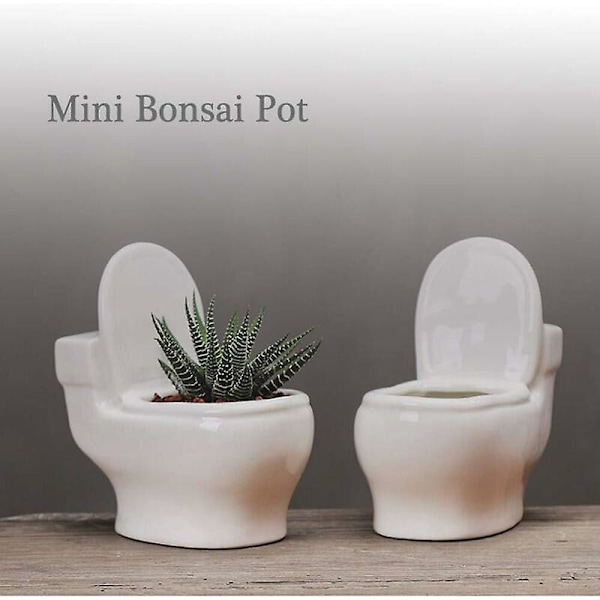 Rolig Keramisk Suckulentformad Blomkruka Söt Keramisk Vas Blomkruka Bonsai Blomkruka Heminredning Blomkruka Mini Skrivbordsdekoration