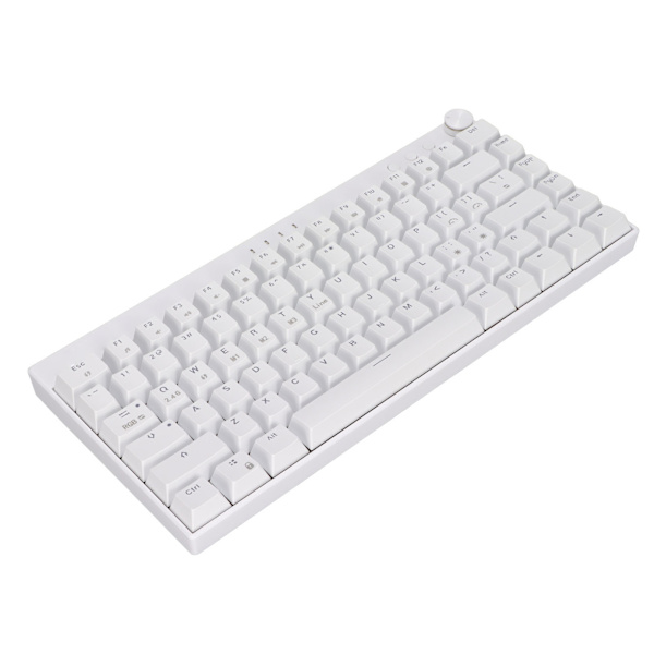 Tre-modus mekanisk tastatur 82 taster RGB dynamisk bakgrunnsbelysning N-tast rollover hvit mekanisk tastatur for kontor hjemmebrun bryter
