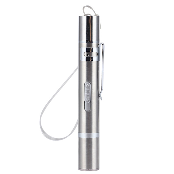 Kannettava USB ladattava Cat Chaser -lelu LED-kynävalolla