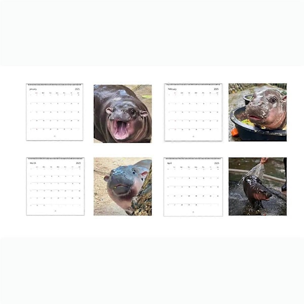 Moo Kalender 2025 Bordskalender & Kalender