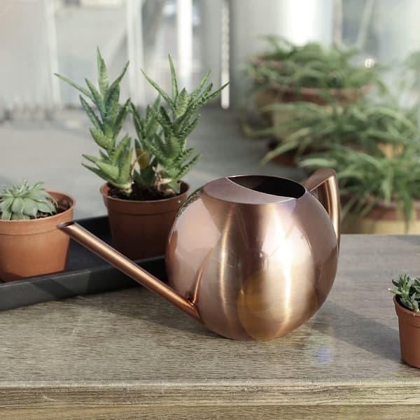 1000 ml vandkande i rustfrit stål med lang tud til haveblomster og planter, bronze