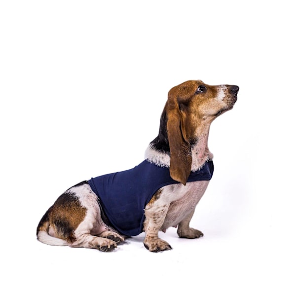 Dog Back Support for Pain Relief, Arthritis - Dachshunds & Corgies