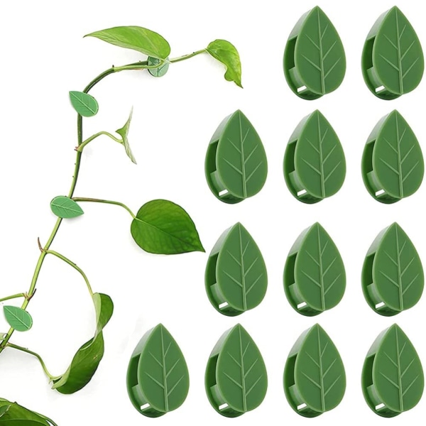 Paket med 50 självhäftande växthållare Plantkopplingsklämma Klätterväxter Fixering av väggväxtklämmor för stödplantering