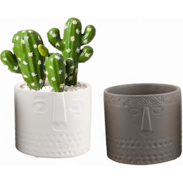 Set med 2 keramiska blomkrukor för suckulenter, kreativa blomkrukor för vardagsrum, kontor (vit + grå)