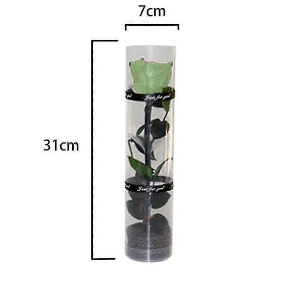 En ægte bevaret rose, evighedsrose, holdbar rose, evigt blomstrende rose pea green