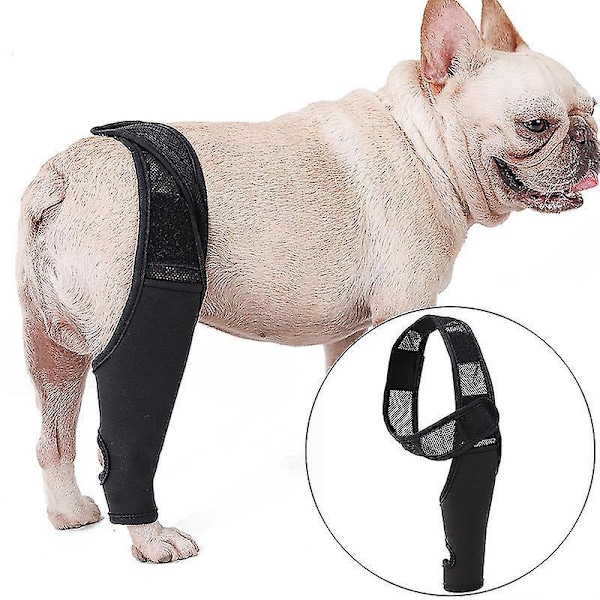 Knäskydd för hundar vid ACL, knäledsluxation, artrit - Håller lederna varma - Extra stöd - Minskar smärta och inflammation (xs)