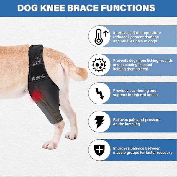 Justerbare bagbensstøtter til hunde - Knæstøtte til hunde til genoptræning af patella luksation XL