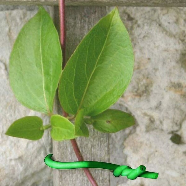 Multifunksjonell bindetråd 3mm10m Versailles Støttebindetråd for planter og busker - Ståltråd omgitt av gummi for hagearbeid