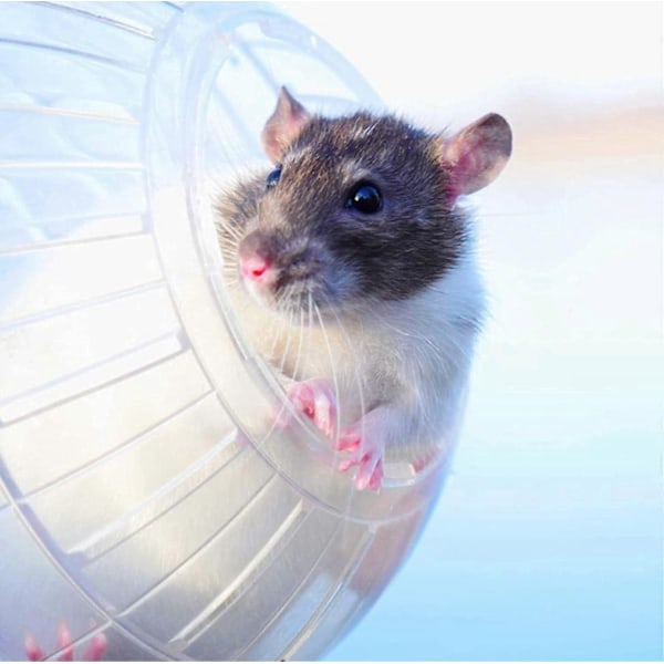 Hamsterball, 3 stk. Hamster Treningsball Gym Hamster Hjul Løping