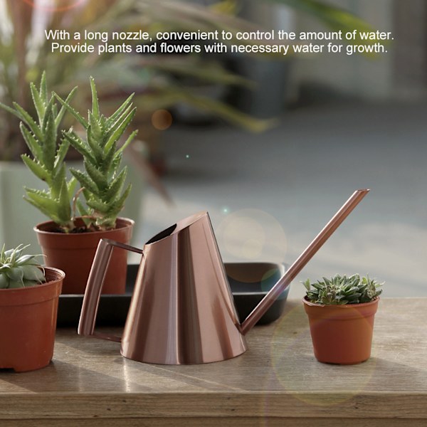 Husholdnings vannkanne i rustfritt stål Pot Hage Grønn plante Blomst Vannkoker BronseS