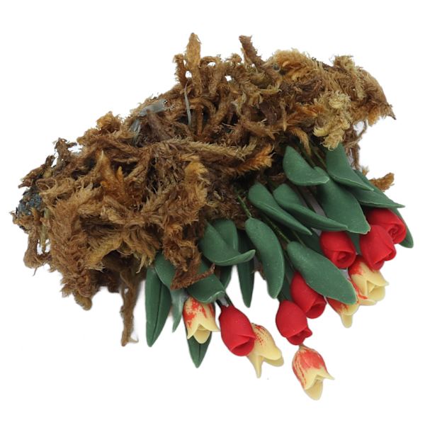 1:12 DIY Simulering Dukkehus Blomster Miniatyr Dukkehus Mose Plen Hage Scene Dekorasjon