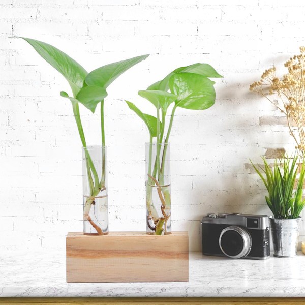 Glasprovrör Blomkruka Hydroponisk Växt Vas Terrarium Behållare Heminredning med Ställ