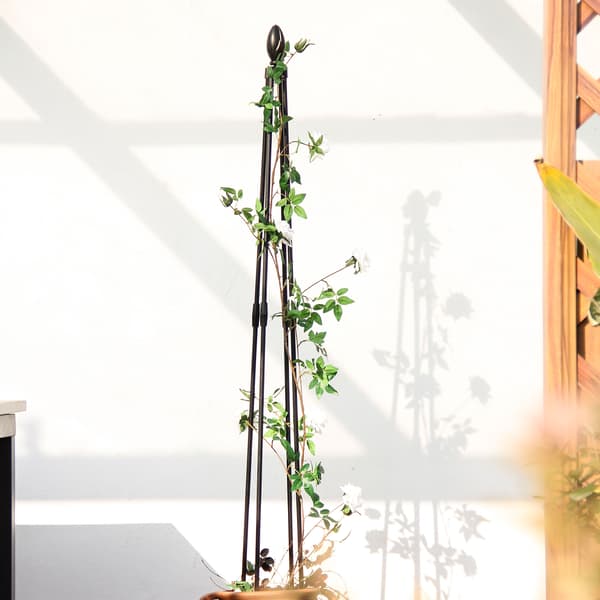 Hageobelisk Tårn Klatrevin Blomsterstativ Hage Vertikalt Blomstertårn