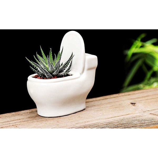 Rolig Keramisk Suckulentformad Blomkruka Söt Keramisk Vas Blomkruka Bonsai Blomkruka Heminredning Blomkruka Mini Skrivbordsdekoration