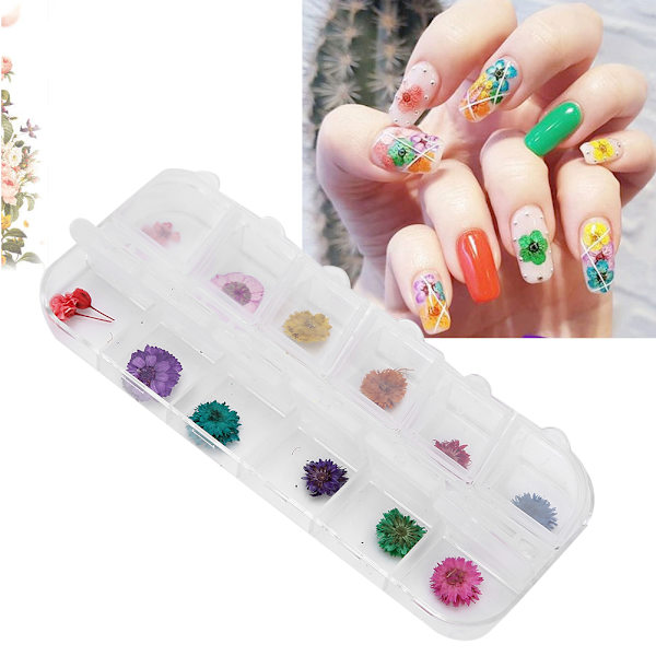 12 färger / låda torkade blommor nageldekoration DIY nagelkonst dekoration tillbehör D-stil